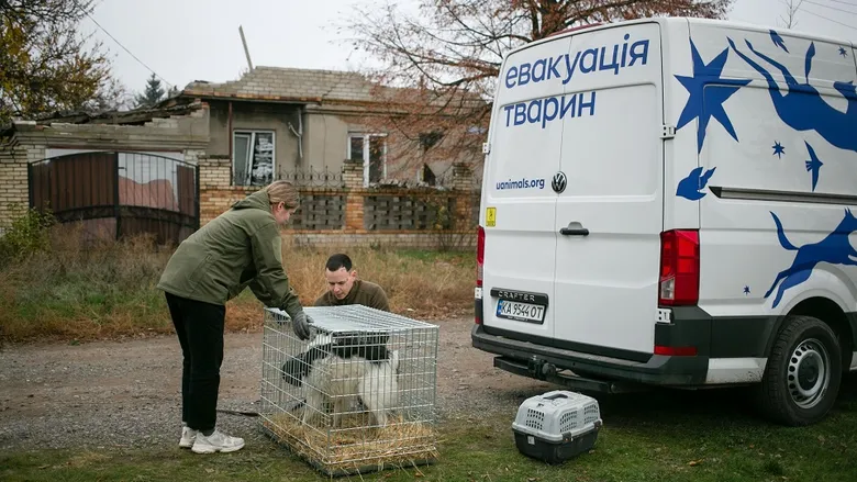 Для тварин з прифронтових районів зібрали 2 млн грн монетами: НБУ про акцію для UAnimals