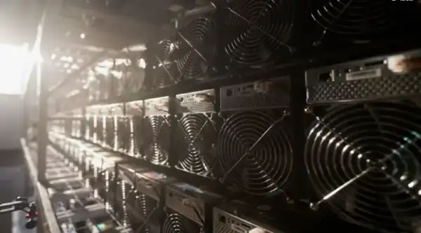 В Свердловской области задержаны организаторы незаконных майнинговых ферм