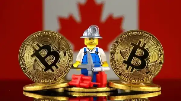 Хакер устроил майнинговую ферму из университетской компьютерной сети