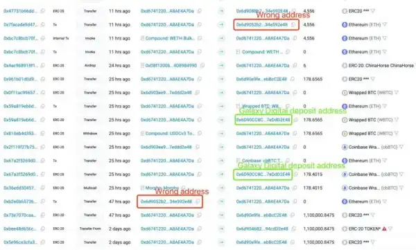 photo_2026-02-01 10.37.55.jpeg