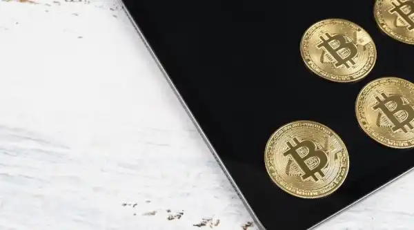 Третина зумерів та мілініалів хочуть у подарунок криптовалюту — опитування Треть зумеров и миллениалов хотят в подарок криптовалюту — опрос