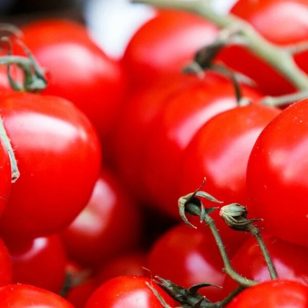 В Україні здорожчав затребуваний овоч для салатів — подробиці