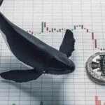 Активність «китів біткоїну» знизилася до мінімумів 2023 року&hellip;