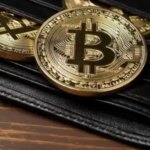 Влада Ірландії відновила доступ до гаманця з 500…