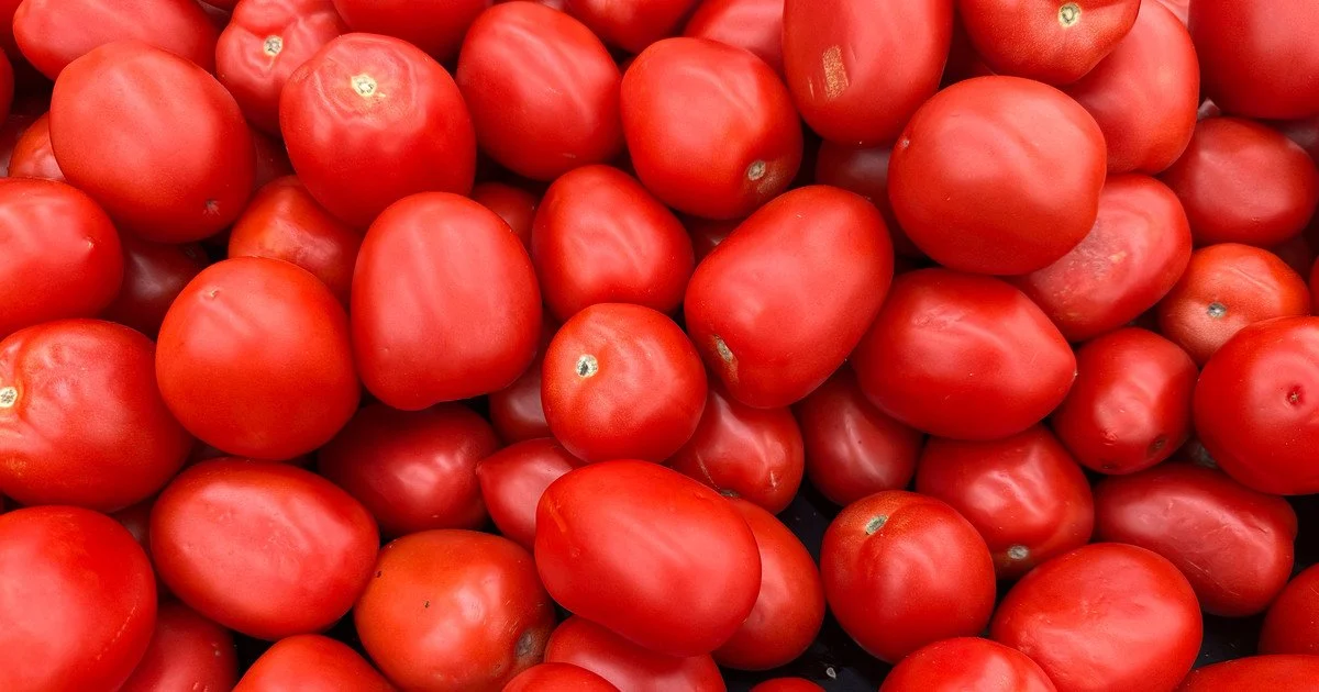 Ціни на помідори