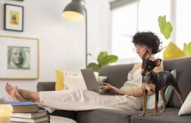 Регіони, де найлегше орендувати pet-friendly квартиру та ціни на них