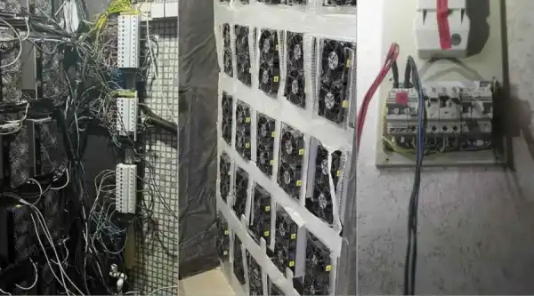 В Воронеже инженер организовал сеть нелегальных ферм для майнинга