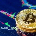 Чистий реалізований прибуток біткоін-інвесторів досяг $207 млн