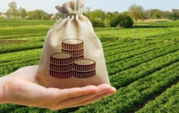 Міністерство фінансів: Податкова визначила регіони з найвищими земельними платежами