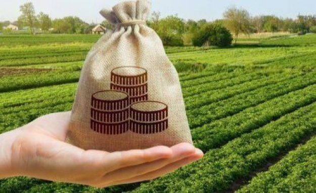 Понад 1 млн платників перерахували до місцевих бюджетів 24,1 млрд грн плати за землю за січень — червень 2026 року.