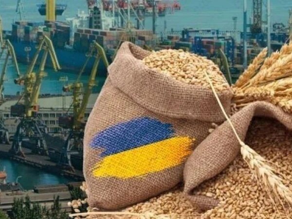 Вивезення зерна під ризиком: власники суден масово уникають українських гаваней — Мінфін