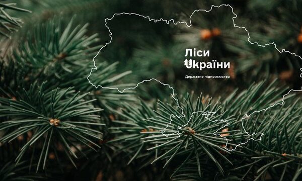 “Телент Едвайзорс” виграла тендер на пошук генерального директора ДП “Ліси України”