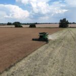 Аграрні компанії збільшили оплату праці на 10-20%, але нестача працівників…