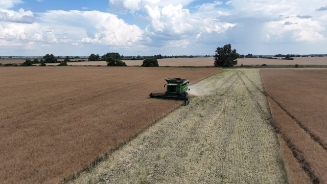 Агрокомпанії підвищили зарплати на 10-20%, однак дефіцит кадрів посилюється, – Agrohub