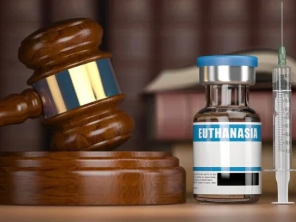 Парламент Франції схвалив закон про евтаназію: яка доля пацієнтів — Міністерство фінансів