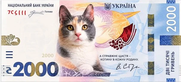 Користувач Miss Murlya пише: «Попередня версія нової 2000 купюри мала виглядати так».