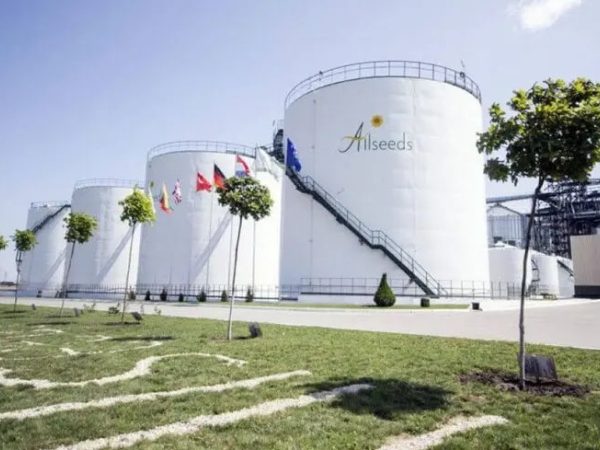 Allseeds зупинила діяльність на Одещині через російські атаки — Мінфін
