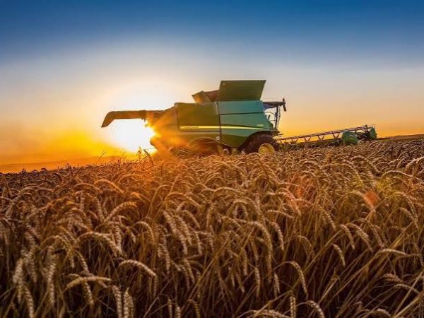 Аграрний сектор зазнає збитків: випуск продукції скоротився на 1,6% — дані Мінфіну
