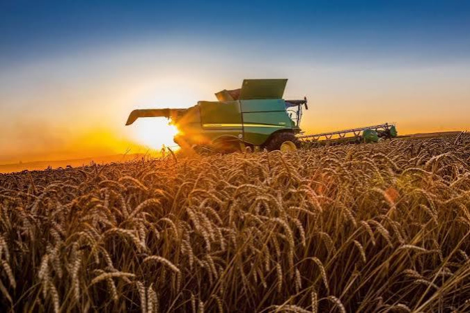 Виробництво аграрної продукції в Україні за перше півріччя 2026 року скоротилося на 1,6% порівняно з тим самим періодом 2025 року, тоді як за результатами п’яти місяців спостерігалося зростання на 1,4%, інформує Державна служба статистики (Держстат).► 