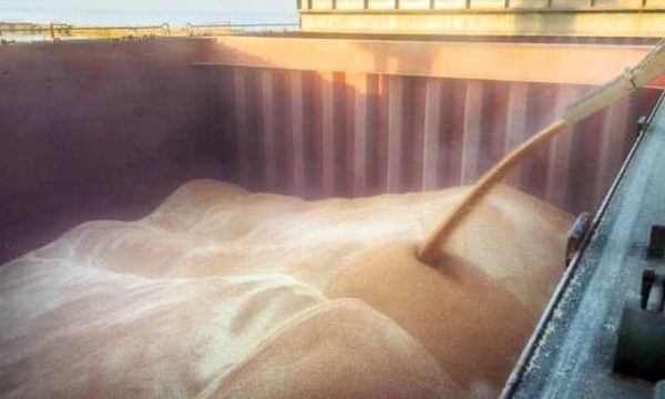 Уряд змінив найнижчі дозволені ціни для продажу за кордон деяких сільськогосподарських товарів.