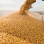 Програму “5-7-9%” поширено на сільгоспвиробників для поповнення їхніх обігових коштів…
