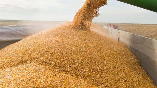 Програму 5-7-9% розширено на аграріїв для поповнення ними обігових коштів – Корецький