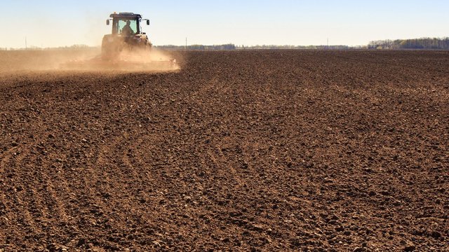 Уряд планує запровадити компенсації аграріям за втрачені та пошкоджені посіви через бойові дії