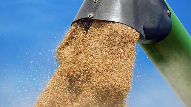 Аграрії намолотили майже 17,6 млн тонн зернових та зернобобових культур нового врожаю з 34% площ