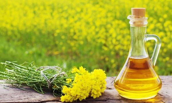Частка внутрішньої переробки ріпаку в сезоні 2025/26 становила 43% порівняно з 16% минулого року, повідомив міністр