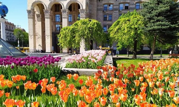 Столиця лідирує за сплатою податку за екологічний вплив, загальний показник за 7 місяців поточного року збільшився на 0,6% – Державна податкова служба