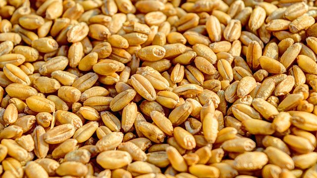 Ukraine's grain exports exceeded last year's figure by 4.8% since the start of the new season