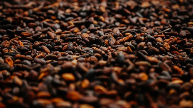 Гана прогнозує скорочення врожаю какао на 13% у наступному сезоні