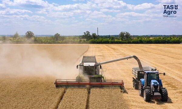 “ТАС Агро” завершило збір ранніх зернових і олійних культур на 33,5 тисячах гектарів