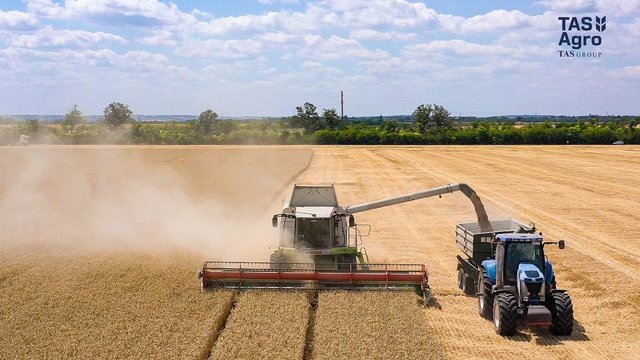 "ТАС Агро" завершив жнива ранніх зернових та олійних культур на 33,5 тис. га