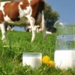 Держпродспоживслужба: 570,7 тис. грн штрафів за 7 місяців через недотримання&hellip;