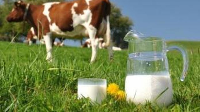 Держпродспоживслужба: 570,7 тис. грн штрафів за 7 місяців через недотримання правил обігу молочних товарів