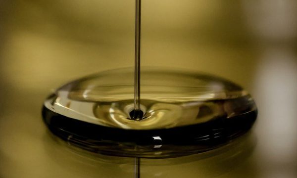 Держслужба з питань безпеки харчових продуктів та захисту споживачів пропонує урядовцям переглянути податковий тиск на ринку нафтопродуктів під час кризи.