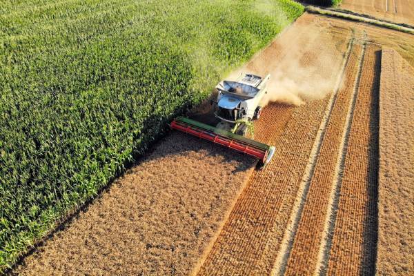 Зростання агроекспорту: вересень показав 40% підйому